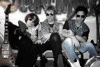 kerbel - olbass - kamille